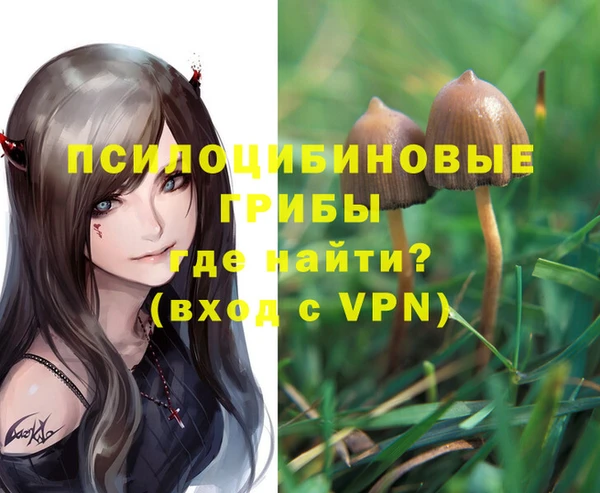 меф Горняк
