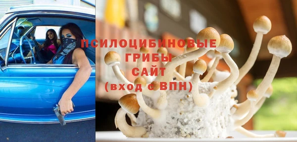 прущий лед Горно-Алтайск