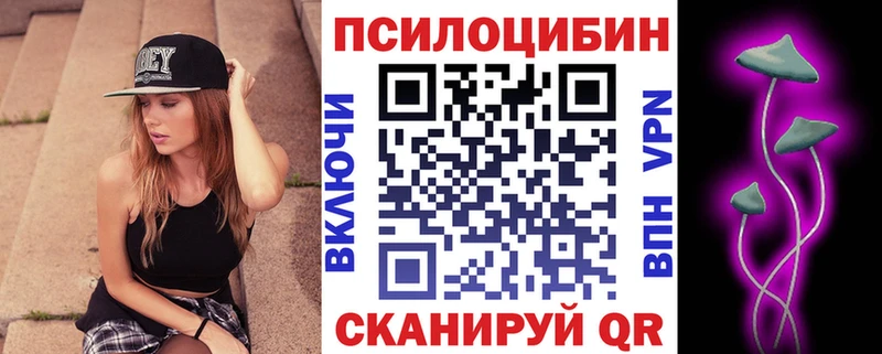 Купить где  Туймазы  Псилоцибиновые грибы мицелий 